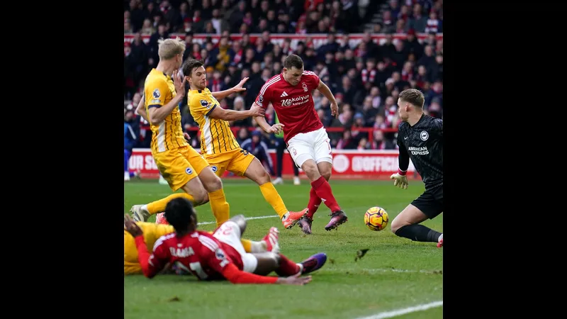 Cầu thủ Nottingham Forest chiến đấu quyết liệt trong trận đấu với Brighton Cầu thủ Nottingham Forest chiến đấu quyết liệt trong trận đấu với Brighton